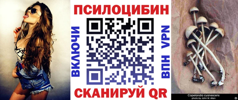 Галлюциногенные грибы GOLDEN TEACHER  где найти наркотики  Бобров 